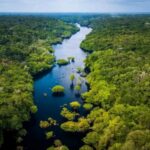 Mai-Ndombe : le Parc national de la Salonga un trésor touristique inexploité
