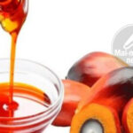 Une hausse de 20% du prix de l’huile de palme observée à Inongo