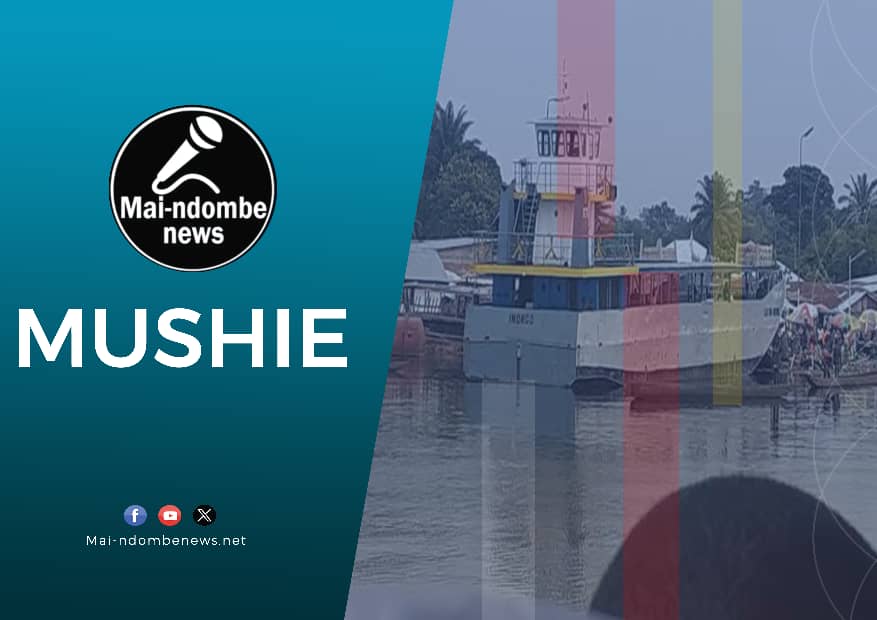 Mushie : le gouvernement provincial prend à bras-le-corps la situation de Maseke